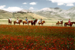 <p>Trekking  - Cavalli - Castelluccio</p>