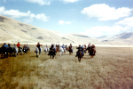 <p>Trekking - Horses - Castelluccio</p>