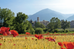 Landscapes of Valnerina. Norcia, the Plan of St. Scolastica