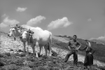 Valnerina. Poor but beautiful, black and white portraits