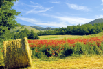 Landscapes of Valnerina. All colors of the world