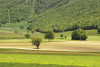 Plain of St. Scholastica - Norcia