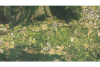 Aerial photo - Plateau of Chiavano - Cascia