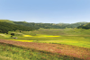 Pian Little - Castelluccio di Norcia - National Park of the Sibillini Mountains - Valnerina