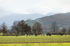 Plateau Chiavano - Cascia