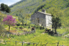 Church of St. Vitus - Ceselli - Scheggino