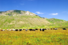 Monte Vettore - Castelluccio - Norcia