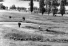 The Marcite - Norcia