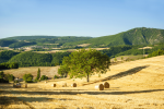 The Landscape of Valnerina at high altitudes